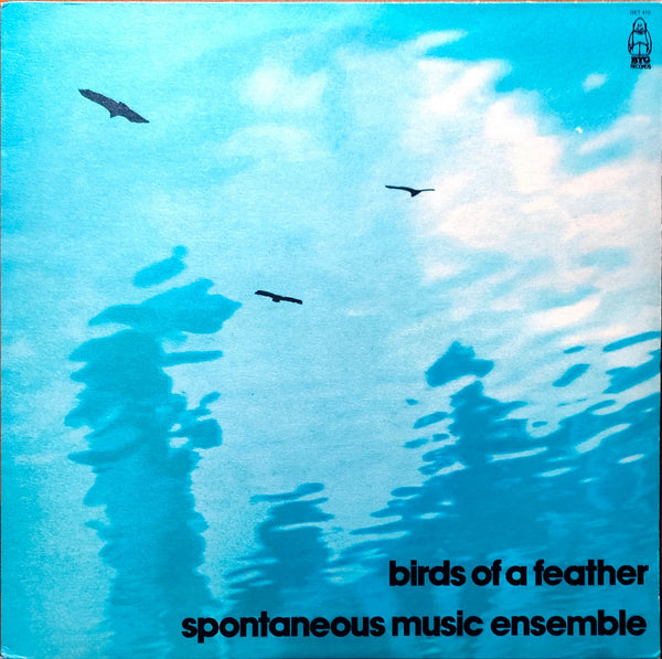 Spontaneous Music Ensemble - Birds Of A Feather