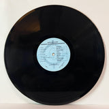 Various Artists - Someone Got Their Head Kicked In